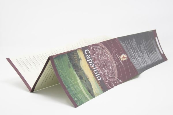 stampa-pieghevole